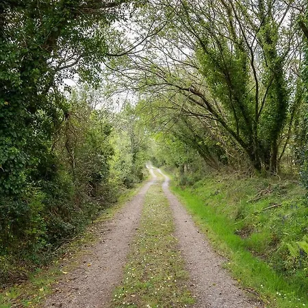 Bay View House Villa Kenmare