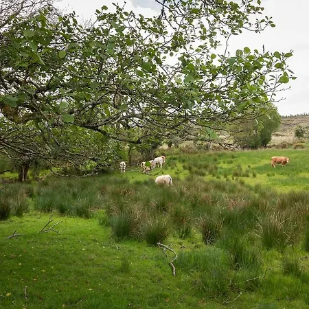 Villa Bay View House Kenmare