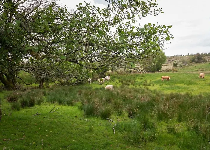 Villa Bay View House Kenmare